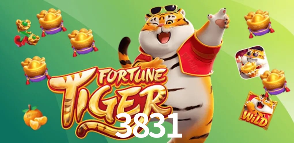 Experiência VIP 3831